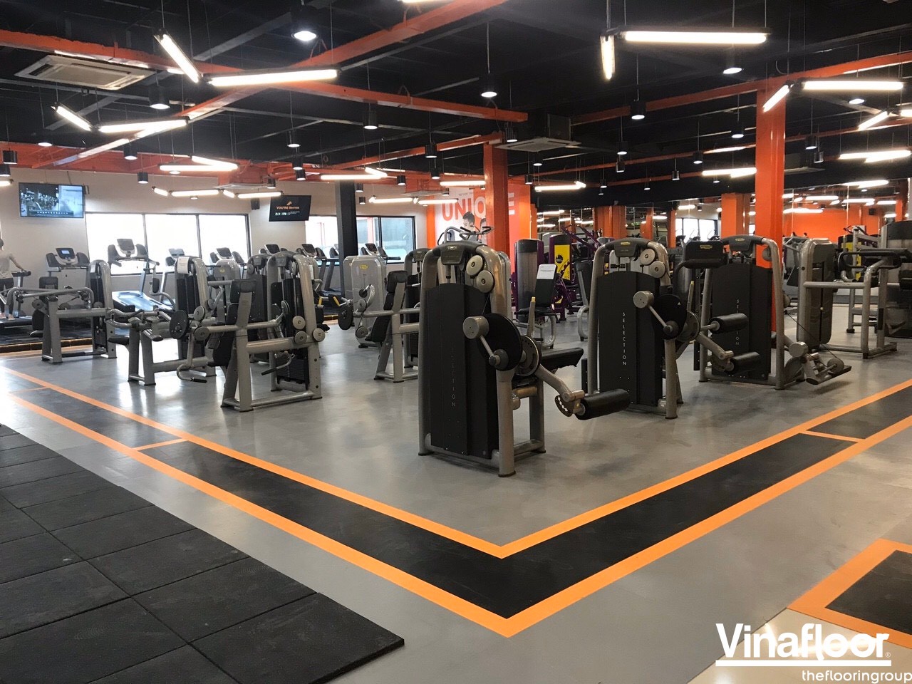 san cao su gym 